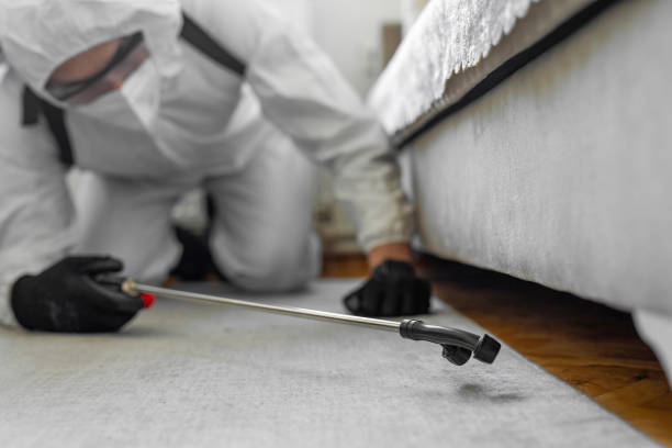 Professional Termite Control technician working in South Brooksville, FL