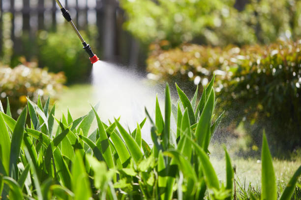 24/7 Emergency Termite Control experts in South Brooksville, FL