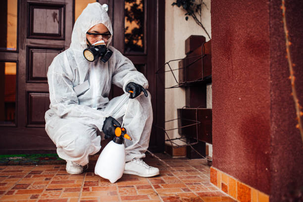 Reliable Termite Control contractor in South Brooksville, FL by Nex Pest Control
