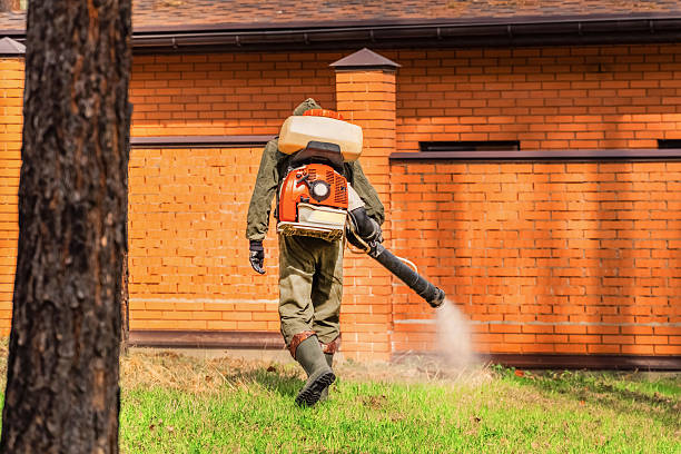 Trusted Rodent Control service in South Brooksville, FL - Nex Pest Control